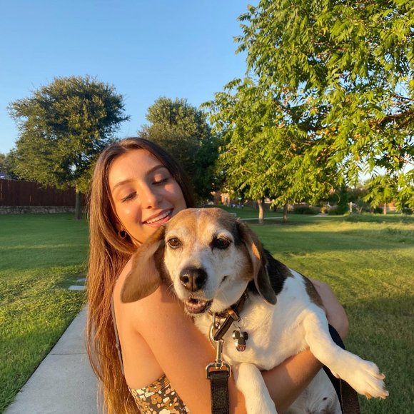 Meet your Posher, Payton - Picture 1 of 1